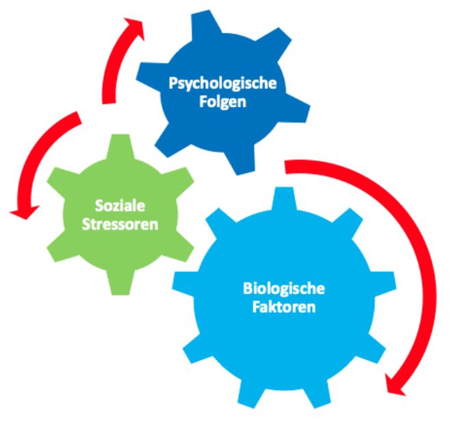 Bio Psycho Soziales Bedingungsmodell